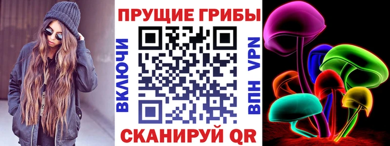 Купить  Няндома  Галлюциногенные грибы GOLDEN TEACHER 