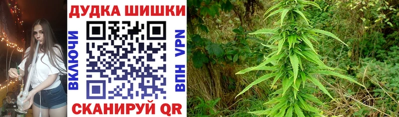 Купить закладки Няндома Шишки марихуана тримм